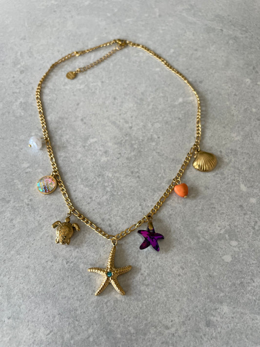 Collar Purple